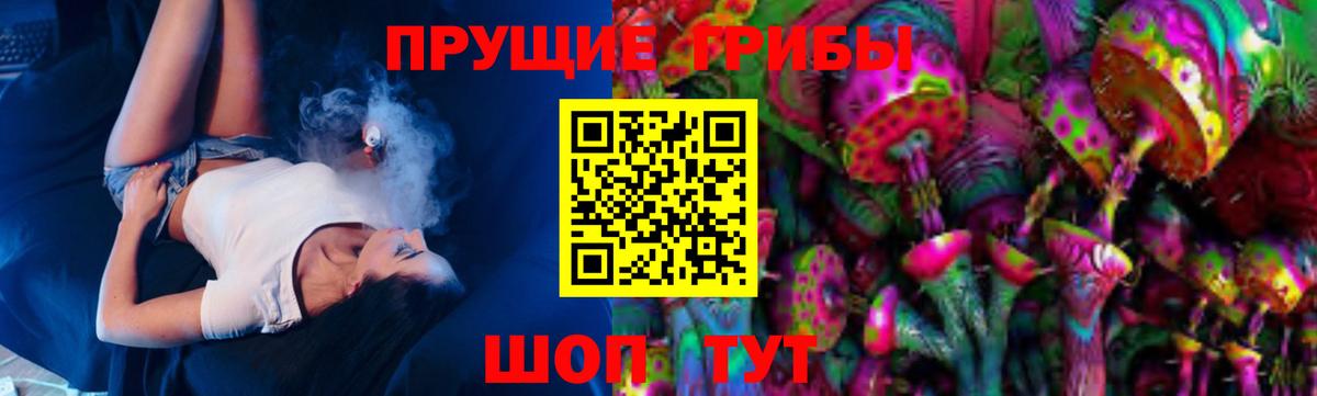 Звенигород  Псилоцибиновые грибы ЛСД  Вход с VPN 